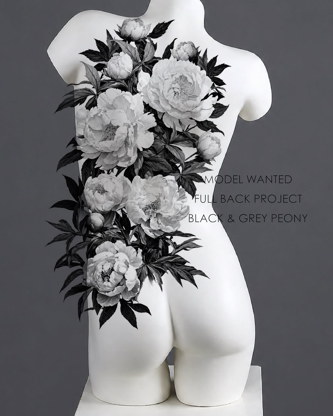 Flower, Nature, Rose