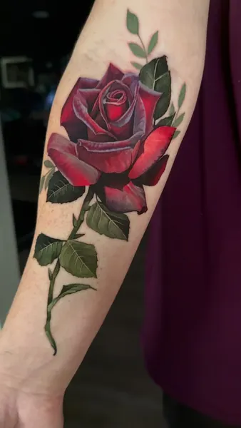 Flower, Rose
