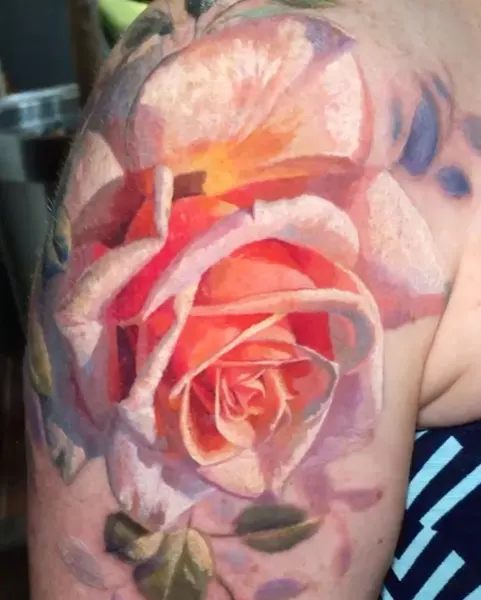 Rose, Nature, Flower