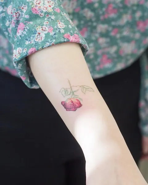Flower, Rose