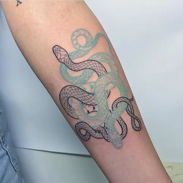 Dragon, 문어, 크라켄