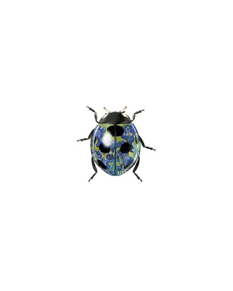 caotida