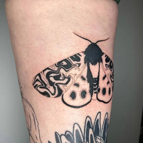 Animal, Nature, Flower
