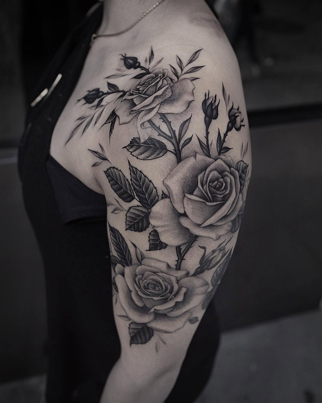 Flower, Rose, Nature