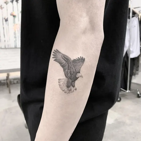 학, 수탉, 그리핀, 까마귀, 독수리, 날개, 한국 학