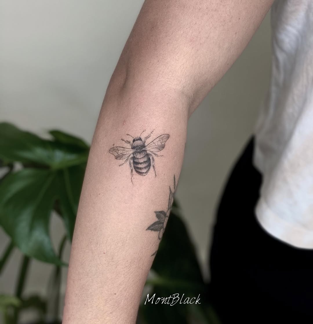 Animal, 벌, 딱정벌레, 무당벌레