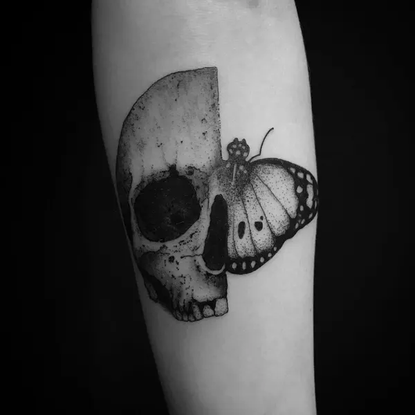 Animal, Nature, 관, 고딕, 나방