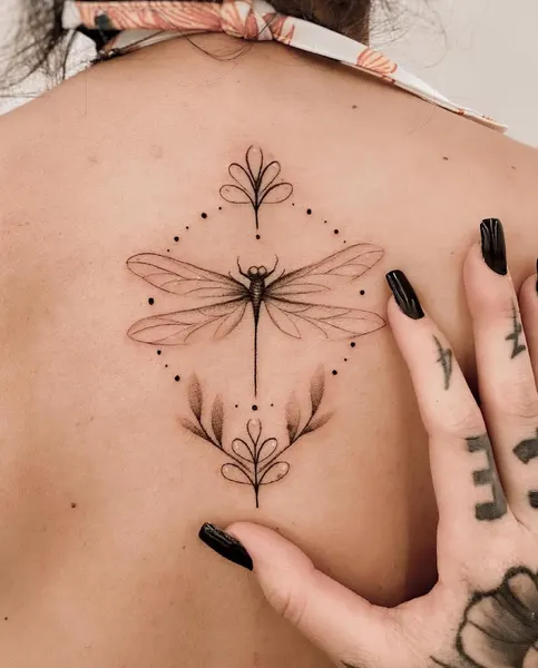Animal, Nature, 데이지, 민들레