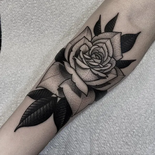 Flower, Rose