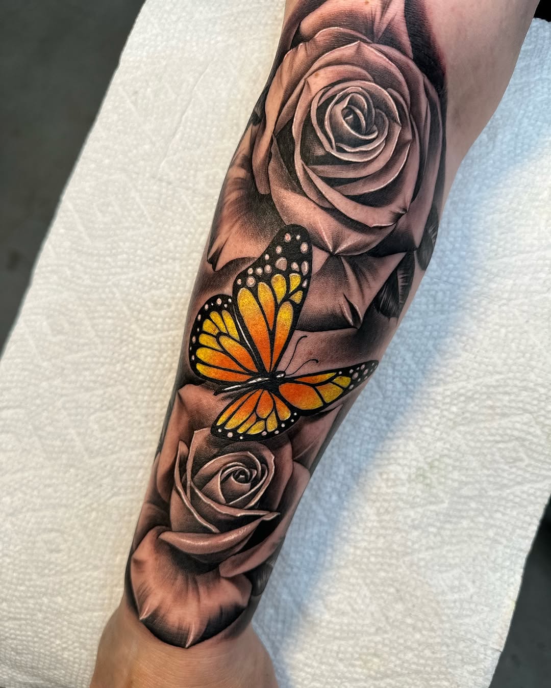 Animal, Flower, Nature