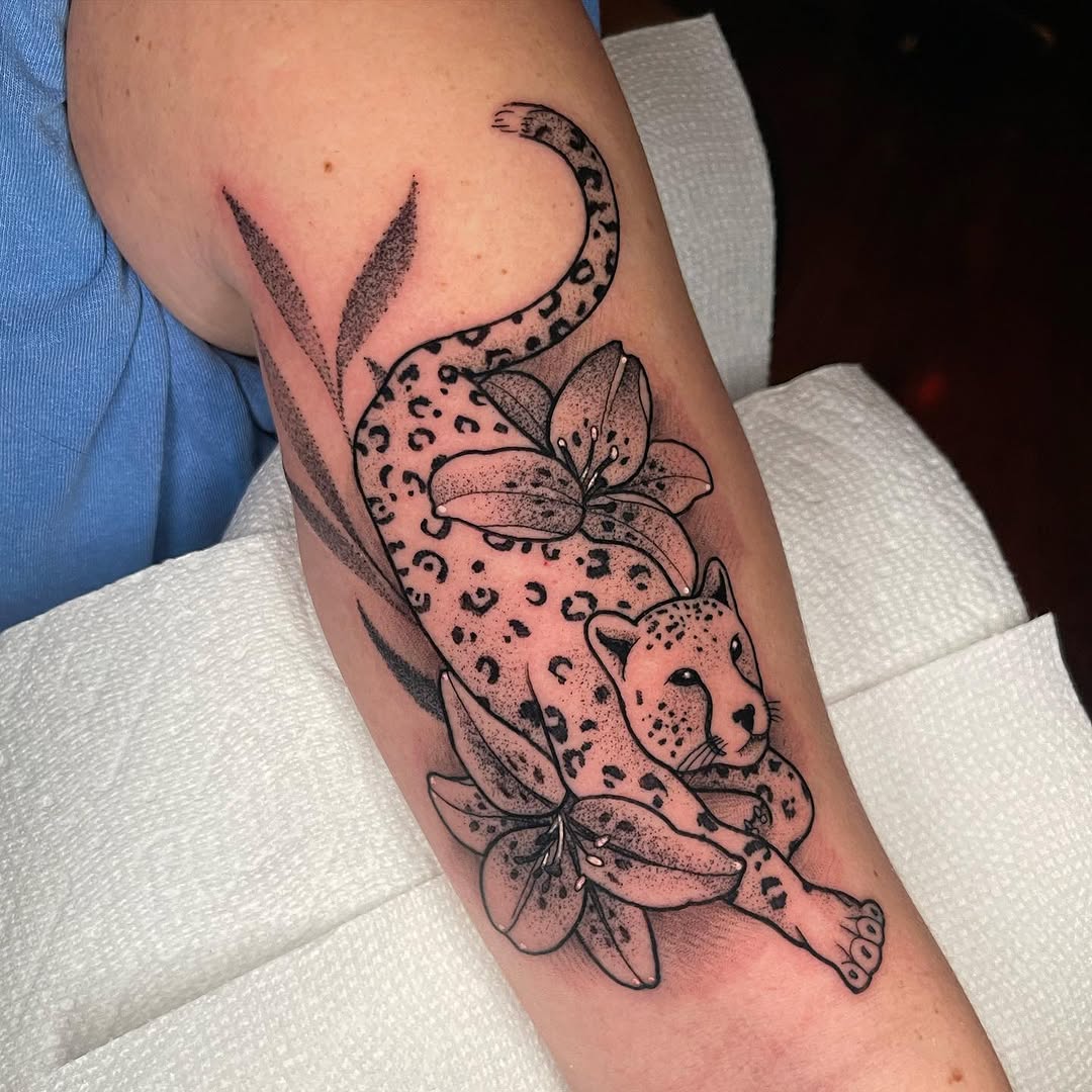 Tiger, Animal, 표범, 팬서