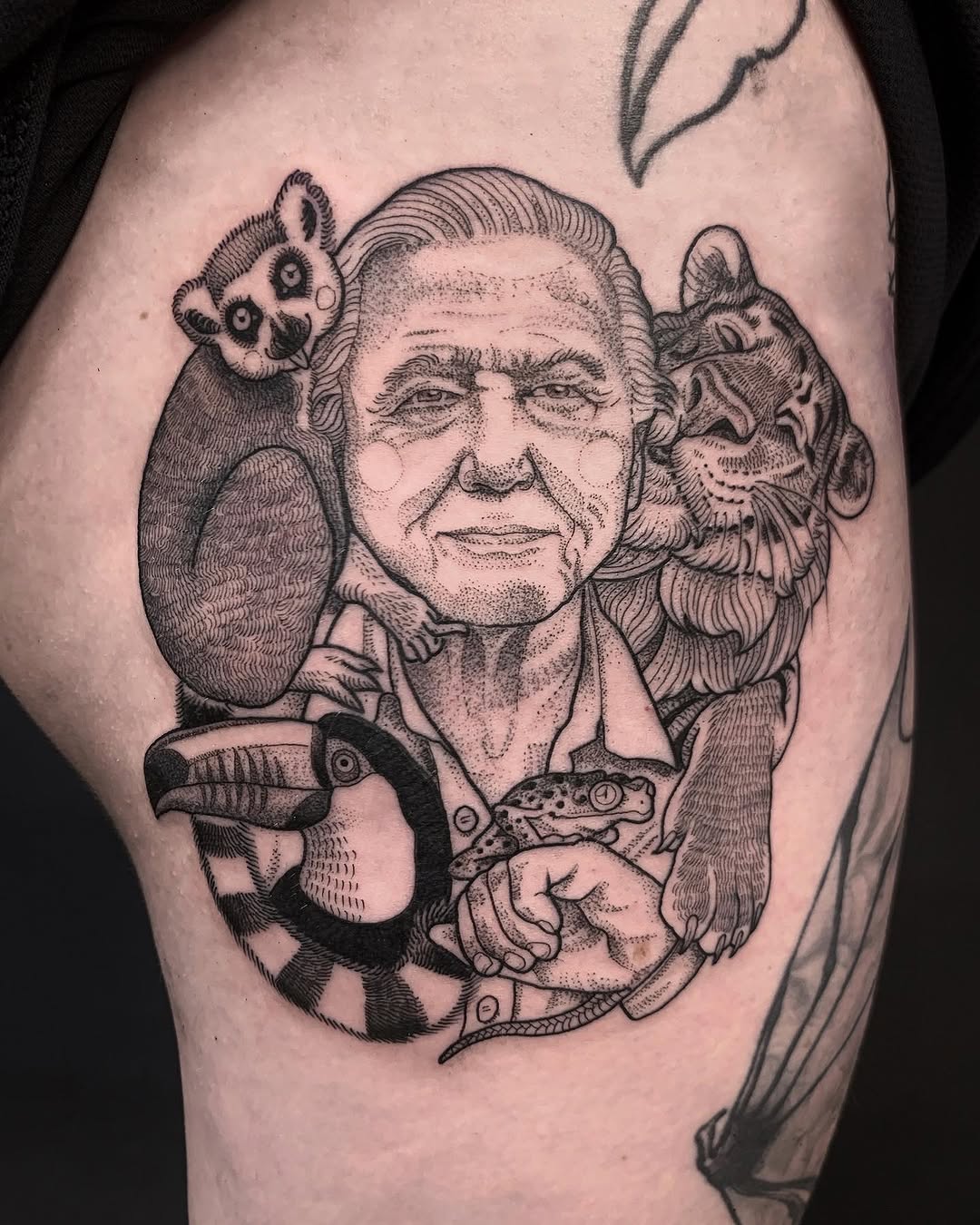 Tiger