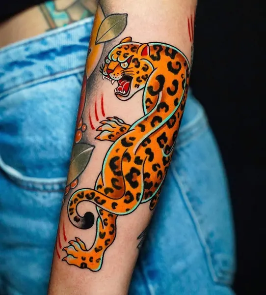 Tiger, Animal, 표범