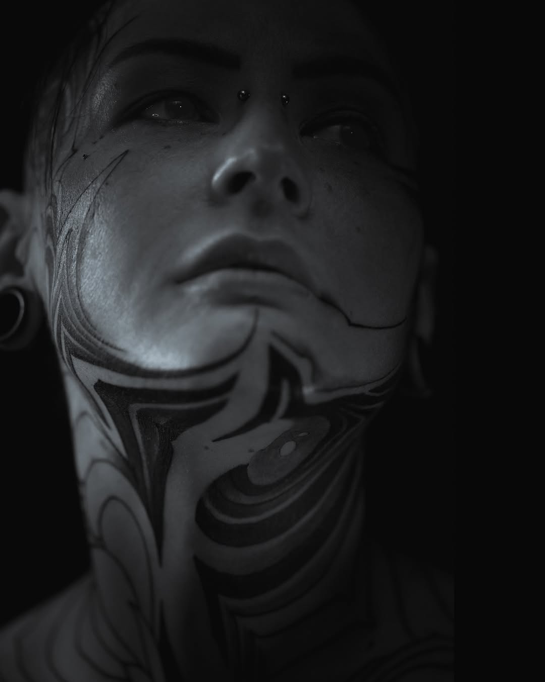 fibs_