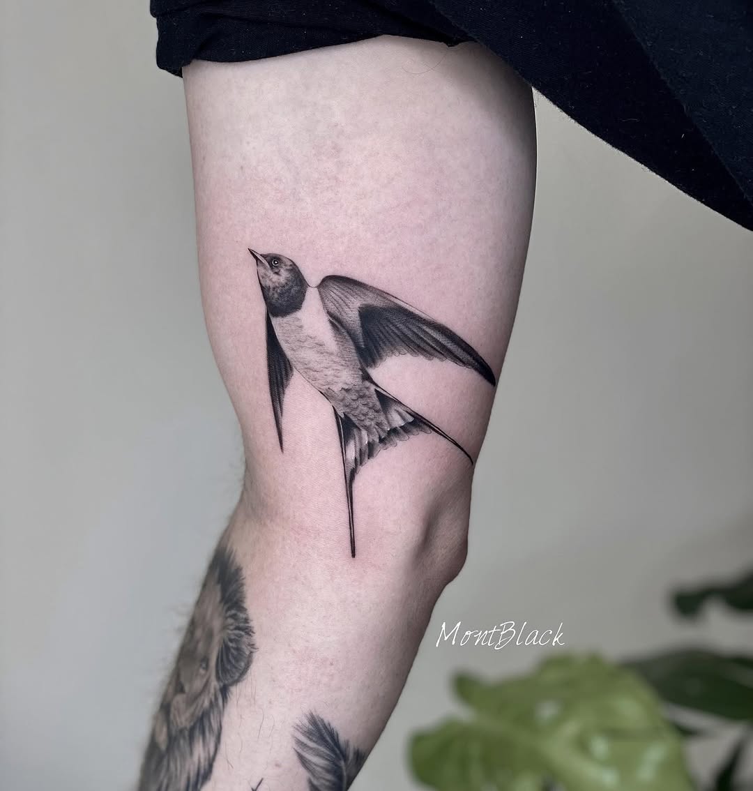 새, 학, 마녀, 까마귀, 일본 학