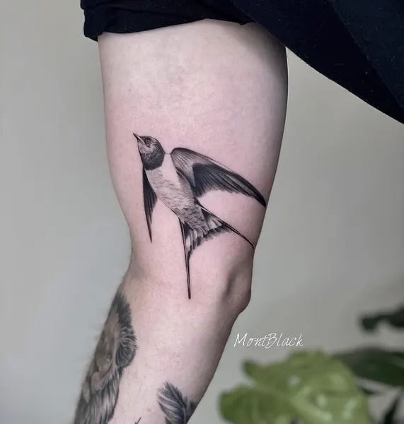 새, 학, 마녀, 까마귀, 일본 학