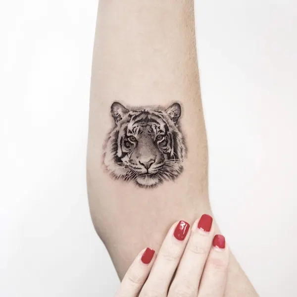 Tiger, 치타, 표범, Animal