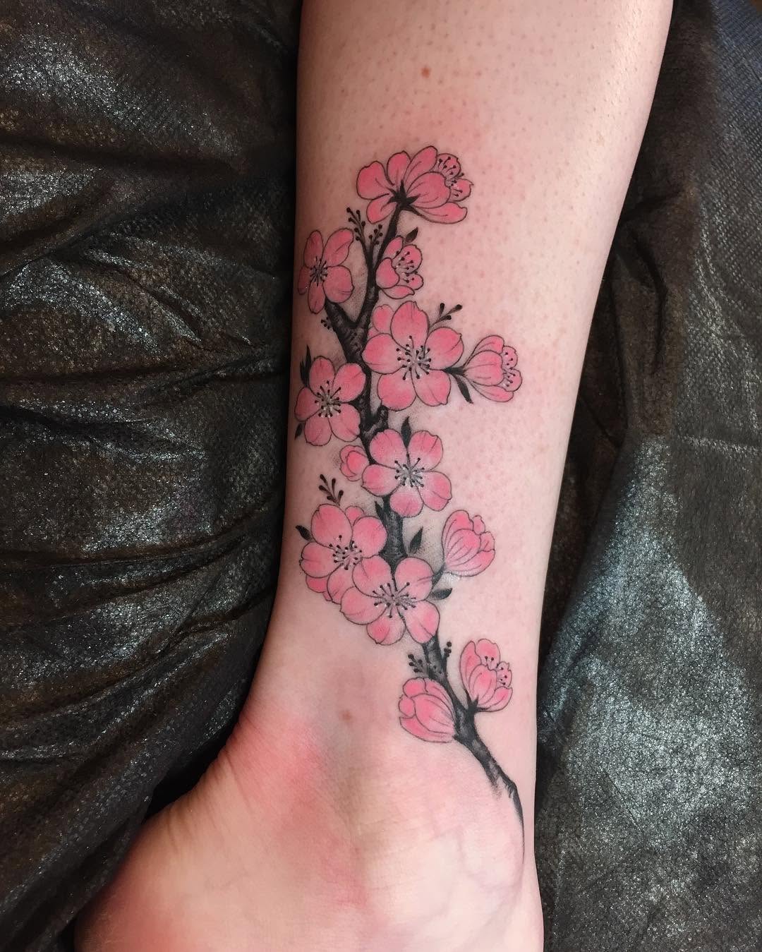 Flower, 벚꽃, 매화, 사쿠라