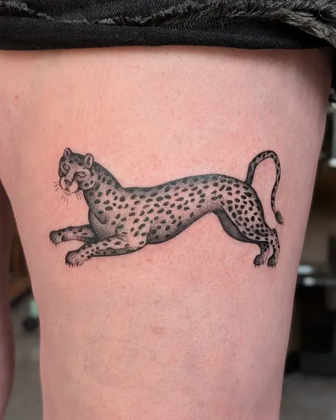 Animal, Tiger, 치타, 팬서, 표범