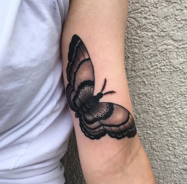Animal, Nature