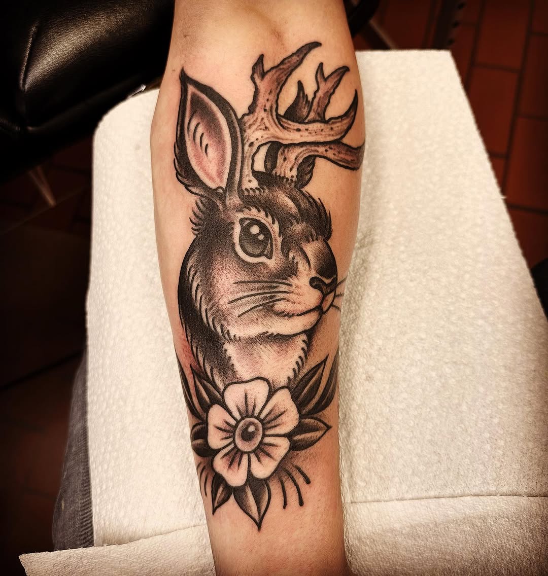 Animal