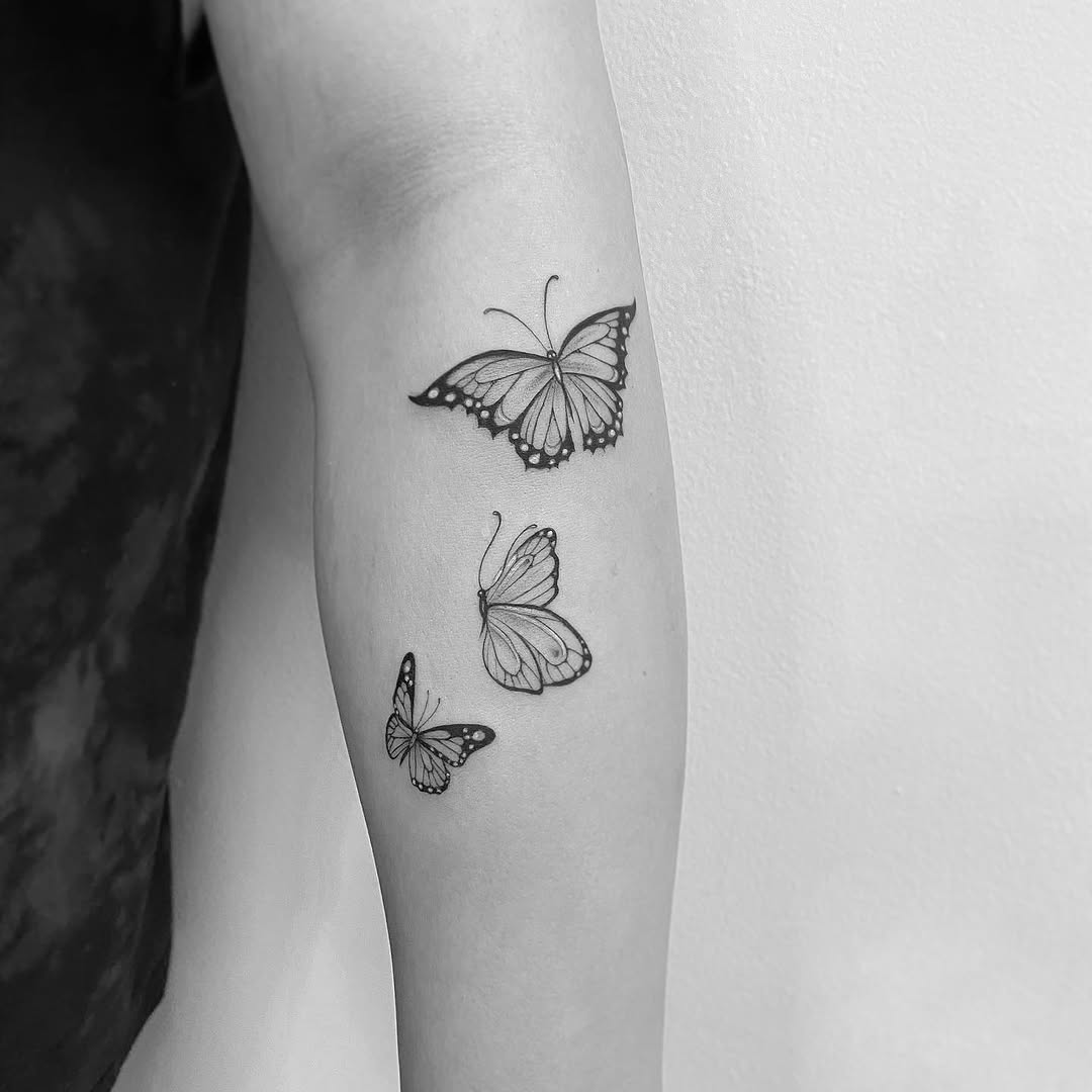Animal, Nature, 나비