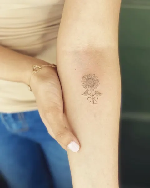 연꽃, 태양, 데이지, Flower, 보호 상징, 연꽃 문양