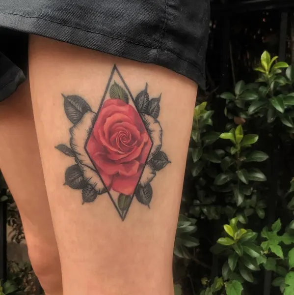 Flower, Rose