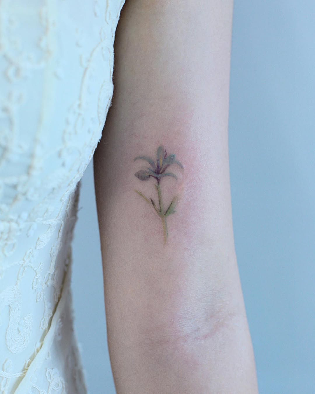 Flower, 풀, 야생화, 올리브 가지, 수선화, 카네이션, 작은 타투