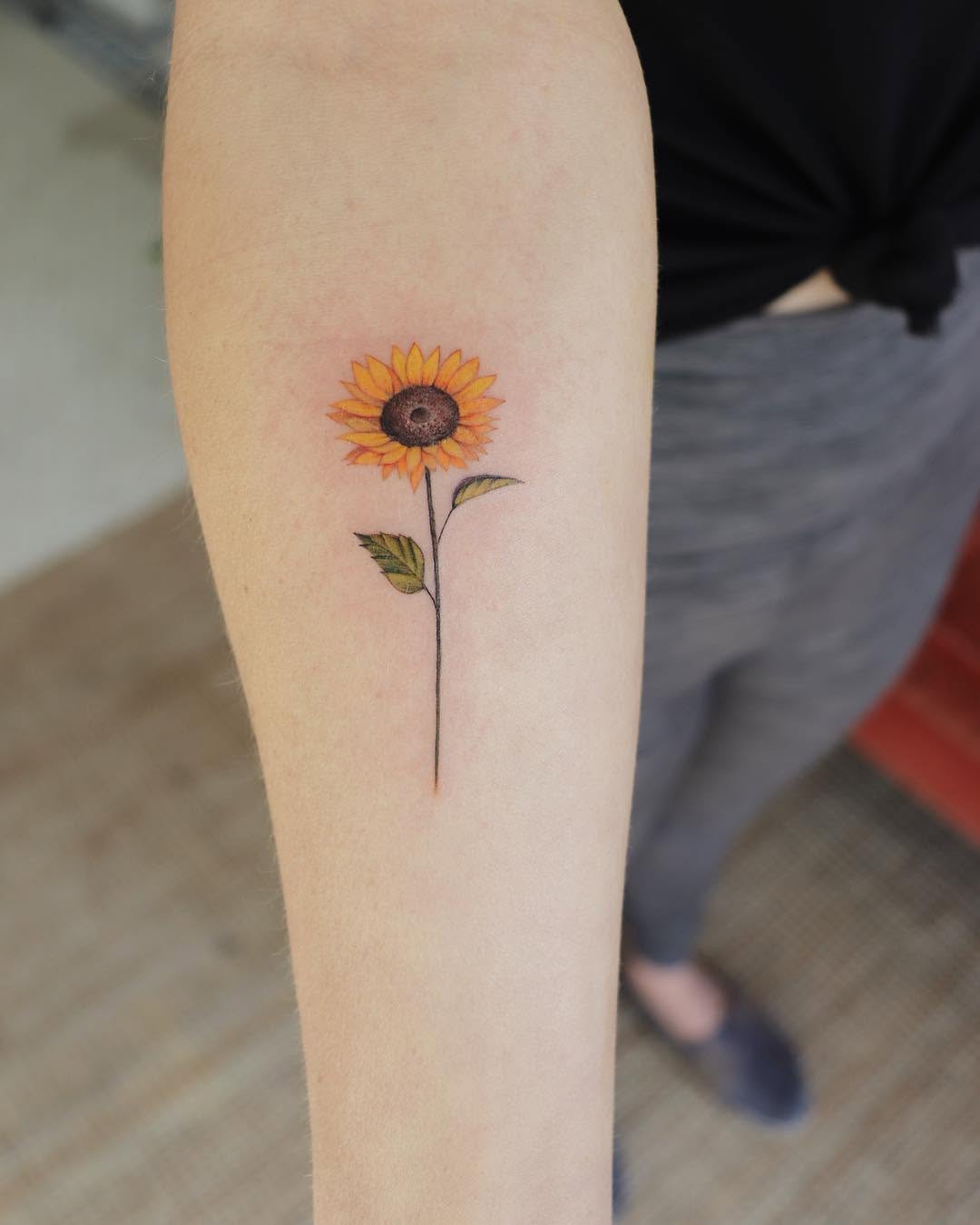 Flower, 양귀비, 해바라기