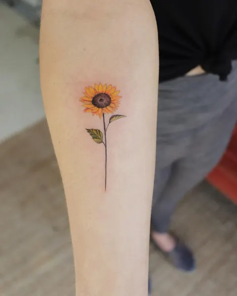 Flower, 양귀비, 해바라기