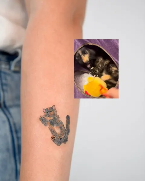 Animal