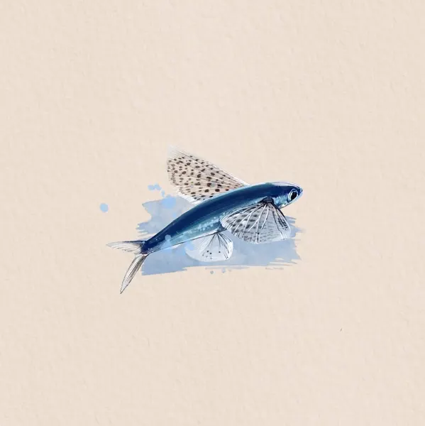 물고기, Animal