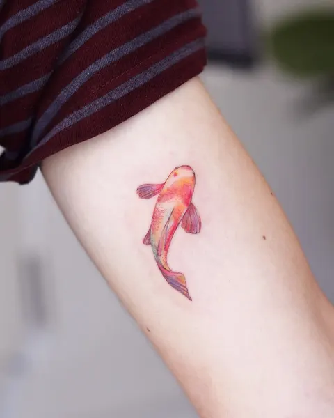 Animal, 잉어