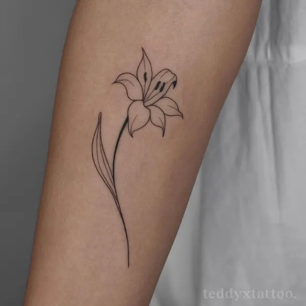 Flower, 모란, 백합, 난초, 튤립, 수선화, 아이리스