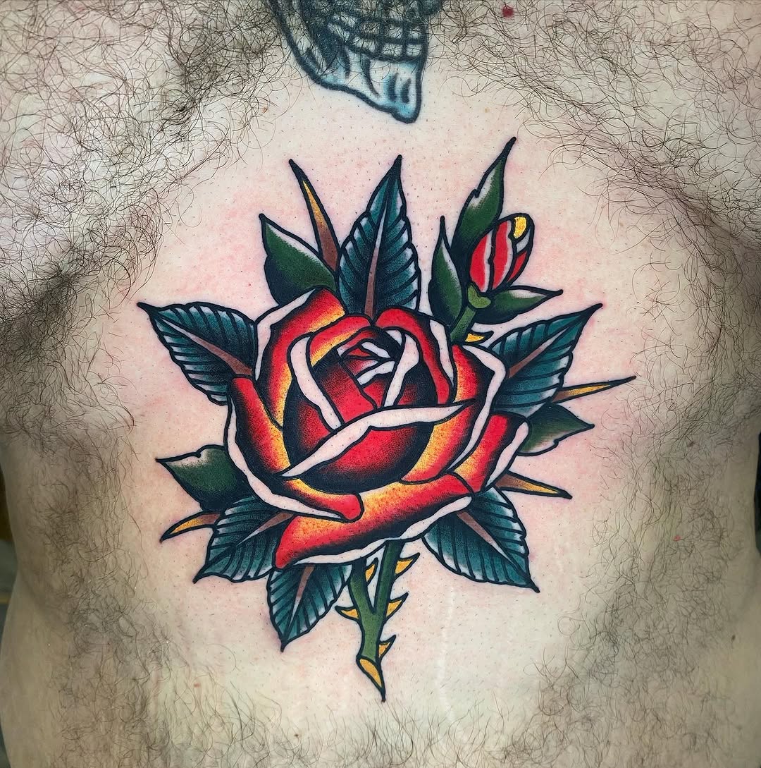 Flower, Rose, Nature