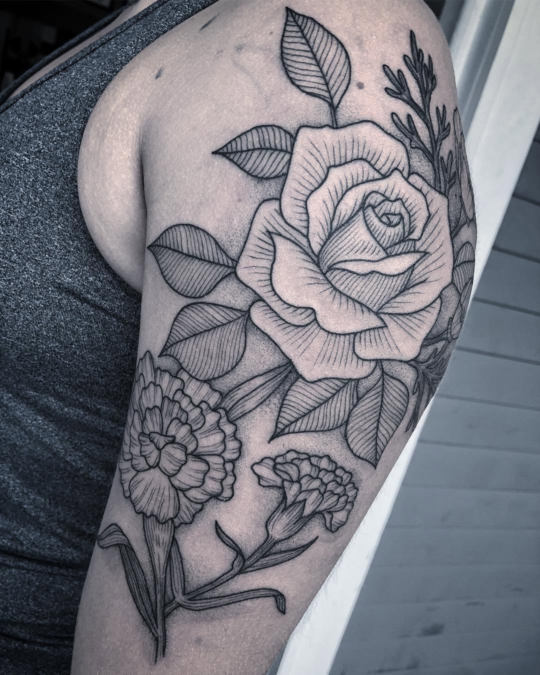 Flower, Rose, Nature