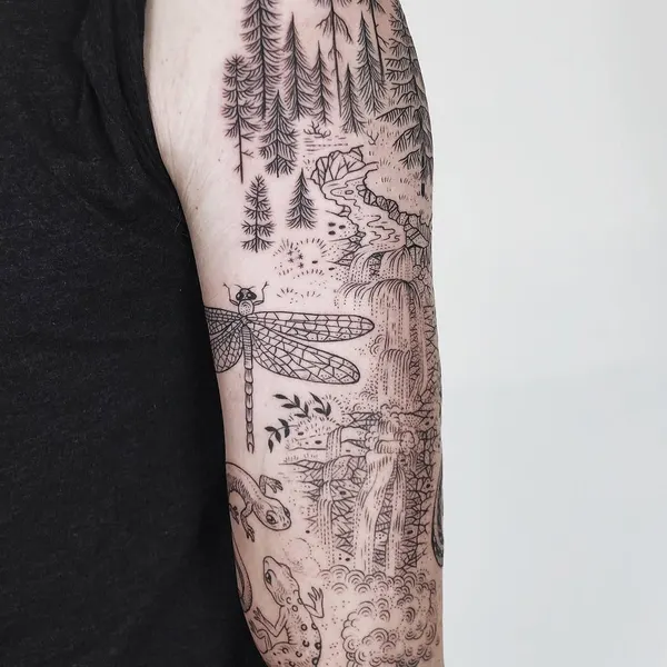 Animal, Nature