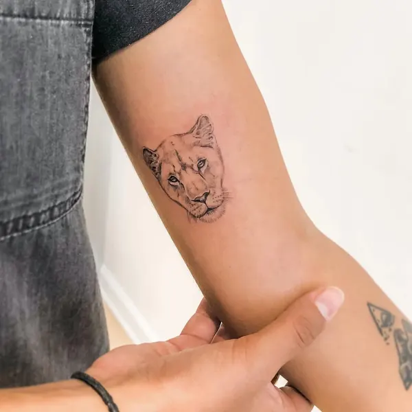 Tiger
