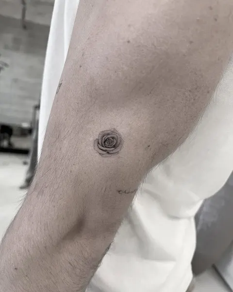 Flower, 원, 점, 나선, 음양, 차크라