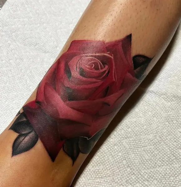 Flower, Rose, 튤립, 꽃다발
