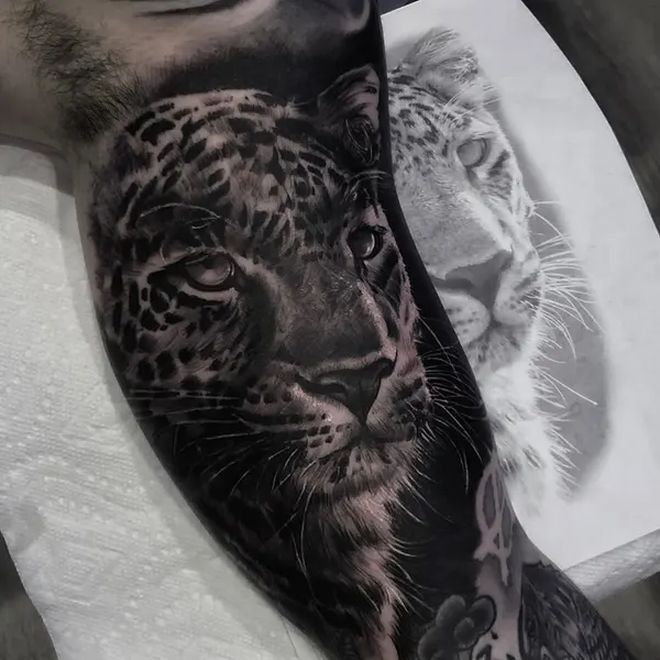 Animal