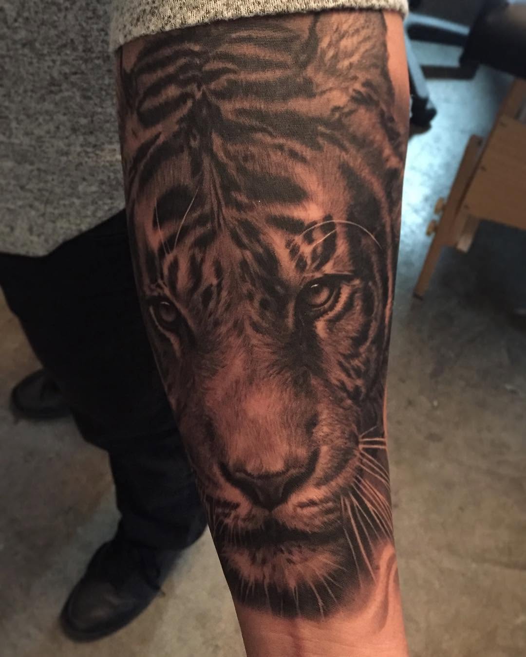 Tiger, 치타, 제우스, 중국 호랑이, 한국 호랑이