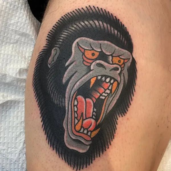Animal, Tiger