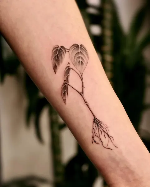 anthony_tatts