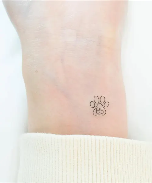 비행기, 성좌