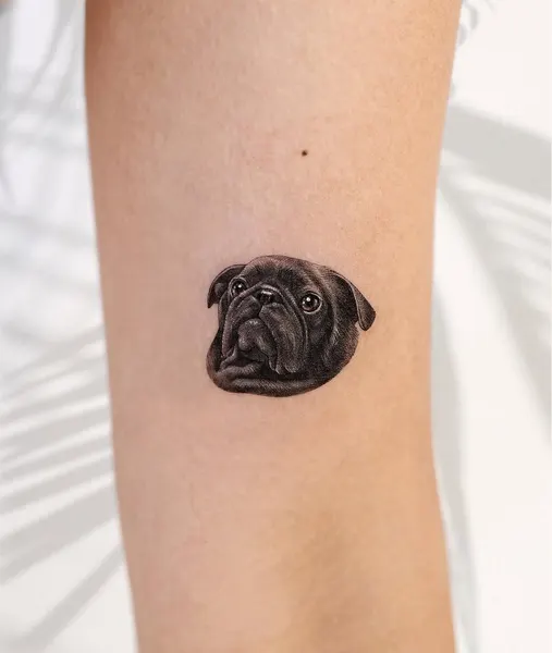 점, 버섯, 눈물, 단청, 커피, 펑크, 조개껍데기, 초소형 타투, 작은 타투, Mini, 오니, 텐구, 펭귄, 혜성, 거북이, 그래픽, 다루마, 카메라, 고슴도치, 커스텀 타투, 플래시 타투, 기념 타투