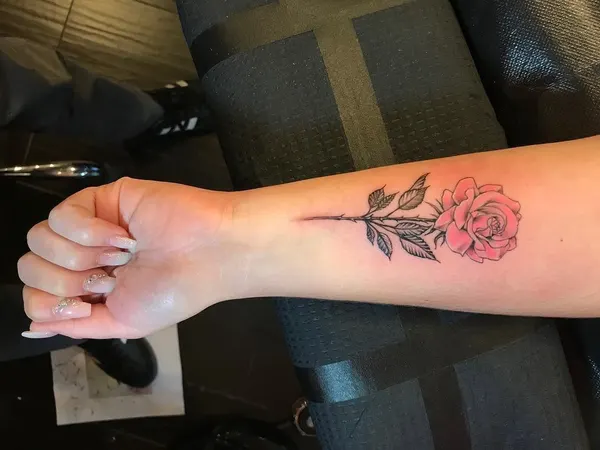 Flower, Rose