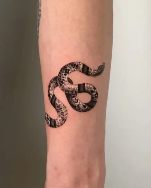 Snake