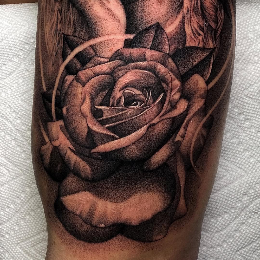 Flower, Rose